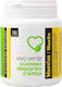 Vivo Verde Organic Mastic 400mg 120 κάψουλες