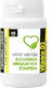 Vivo Verde Vitamin D3 Βιταμίνη για Ενίσχυση του Ανοσοποιητικού & την Υγεία των Οστών 1200iu 12mg 60 ταμπλέτες