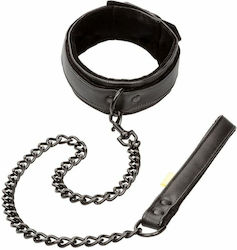 Calexotics Boundless Collar & Leash Collar in Black Color