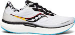 Saucony Triumph 19 Ανδρικά Αθλητικά Παπούτσια Running Λευκά