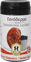 Herbstore Ganoderma Lucidum 600mg 70 veg. caps