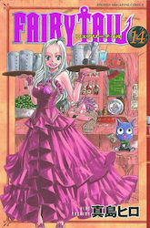 Fairy Tail Vol. 14