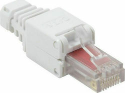 Anga Plug RJ-45 male Cat5e Transparent (552-174)