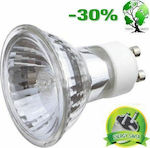 Halogen Lamps