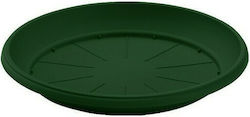 Plastona 242 Rotund Platou Pot Verde 23x23buc