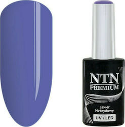 NTN Premium Gel-Nagellack 96 5ml NTN Premium Gel-Nagellack 96 5ml