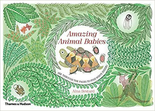 Amazing Animal Babies: Lift the Layers and see the Secrets Inside!