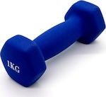 Vinyl Hexagon Dumbbell 1 x 1kg