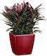 Lechuza Quadro 21 Flower Pot Self-Watering 22.5x20.5cm Scarlet Red High-Gloss 16127