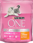 Purina One Bifensis Junior Ξηρά Τροφή για Ανήλικες Γάτες με Κοτόπουλο 0.8kg