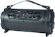 Karaoke Speaker with Wired Microphone FT999 Black