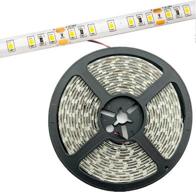 Avide Waterproof LED Strip 12V 5m Inspired SMD2835 15.001.0182