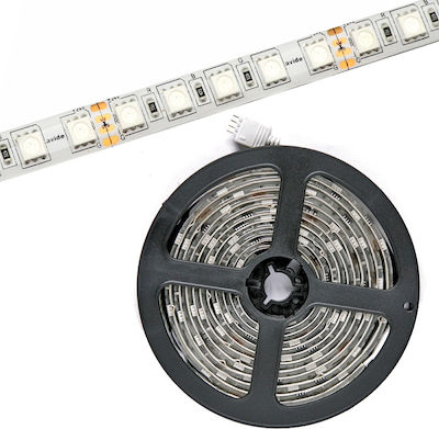 Avide ABLS24V5050-84RGBW65 Wasserdicht LED Streifen Versorgung 24V RGBW Länge 5m und 84 LED pro Meter SMD5050