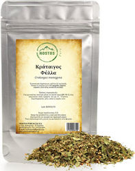 Nostos Pure Κράταιγος 50gr Nostos Pure Κράταιγος 50gr