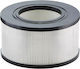 Flex Filtre Hepa pentru Aspirator Umed/Uscat Compatibile cu Flex