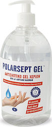 Net Professional Polarsept-Sani Gel
