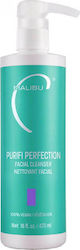 Malibu C Purifi Reflection Facial Cleanser 473ml