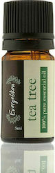 Evergetikon 100% Pure Essential Αιθέριο Έλαιο Tea Tree 5ml Evergetikon 100% Pure Essential Αιθέριο Έλαιο Tea Tree 5ml