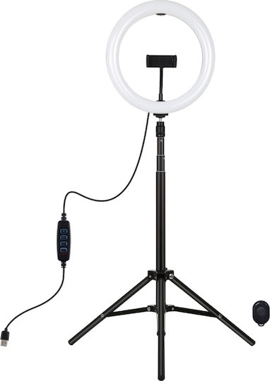 Puluz PKT3065B Ringlicht 26cm mit Bodenstativ 1,65m