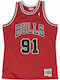 Men's Basketball Jersey Chicago Bulls Dennis Rodman