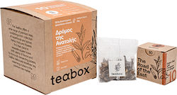 Teabox Grün Tee Der Weg des Ostens 12 Beutel 24gr 1Stück