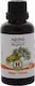 Herbstore Tincture Mugwort Tincture 50ml