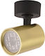 Zambelis Lights Einzel Spot mit Fassung GU10 in Gold Farbe