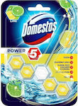 Domestos Power 5 Block Toilet Lime 55gr