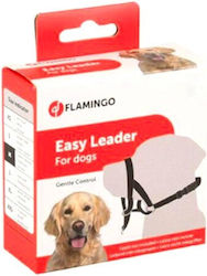 Flamingo Εκπαιδευτικό Medium Flamingo Εκπαιδευτικό Medium
