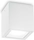 Ideal Lux Outdoor Ceiling Flush Mount GU10 in White Color 251523