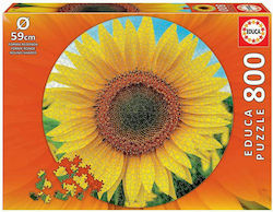 Sunflower Puzzle 2D 800 Pieces