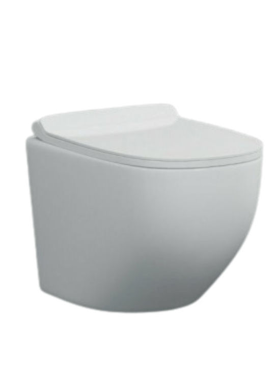 Amco 107 Line Zara Rimless Wall-Mounted Toilet that Includes Soft Close Cover White