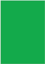 The Littlies Canson Cardboard Green 50x70cm