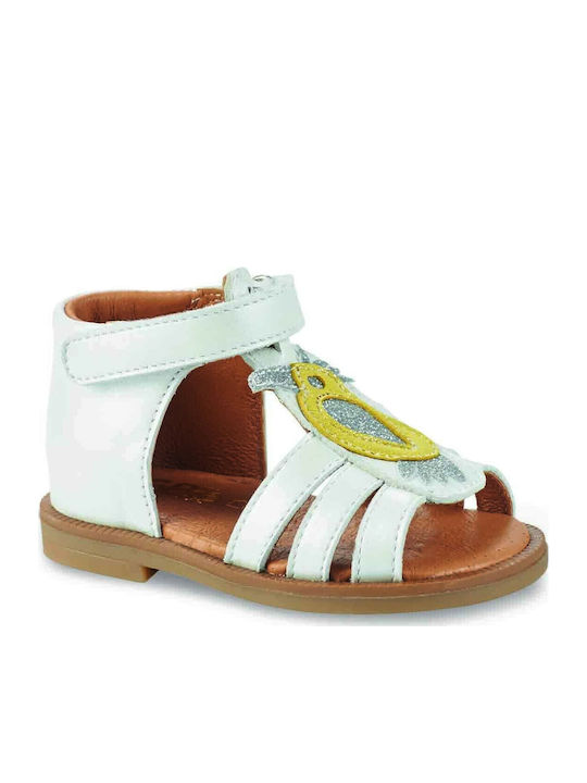 GBB Frania Λευκά