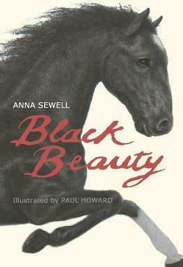 Black Beauty Black Beauty