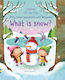 What is Snow?, Very First Questions and Answers