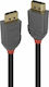 Lindy Cablu DisplayPort - DisplayPort 3m Negru (36483)