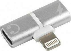Lampa L3885.9 Lightning Masculin În Lightning 2x Femelă Lampa L3885.9 Lightning Masculin În Lightning 2x Femelă