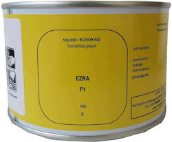 Hazera Ezra F1 Seeds Pumpkinς Zucchini 100gr