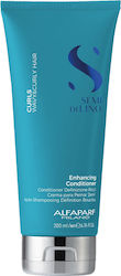 Alfaparf Milano Professional Semi di Lino Curls Enhancing 200ml Alfaparf Milano Professional Semi di Lino Curls Enhancing 200ml