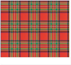 Exas Paper Karton 50x68cm