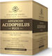 Solgar Advanced Acidophilus Plus Double Pack with Prebiotics 120 veg. caps