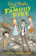 The Famous Five, 21: Five Are Together Again