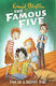 The Famous Five, 15: Five on a Secret Trail