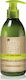 Little Green Läusebehandlung Shampoo zur Vorbeugung Gegen Kopfläuse 240ml