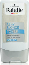 Palette Ashy Blonde Toner Palette Ashy Blonde Toner