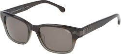 Lozza Tasso Sunglasses Brown with Acetate Frame & Brown Lens