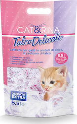 Record Cat&Rina Talco Delicato 5.5Es Record Cat&Rina Talco Delicato 5.5Es