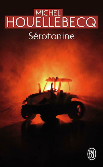 Sérotonine, Poche