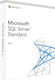 Microsoft SQL Server Standard 2019 Αγγλικά για 1 Χρήστη